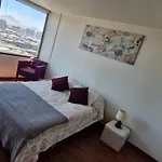 Suite Malva